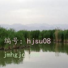 ƫ